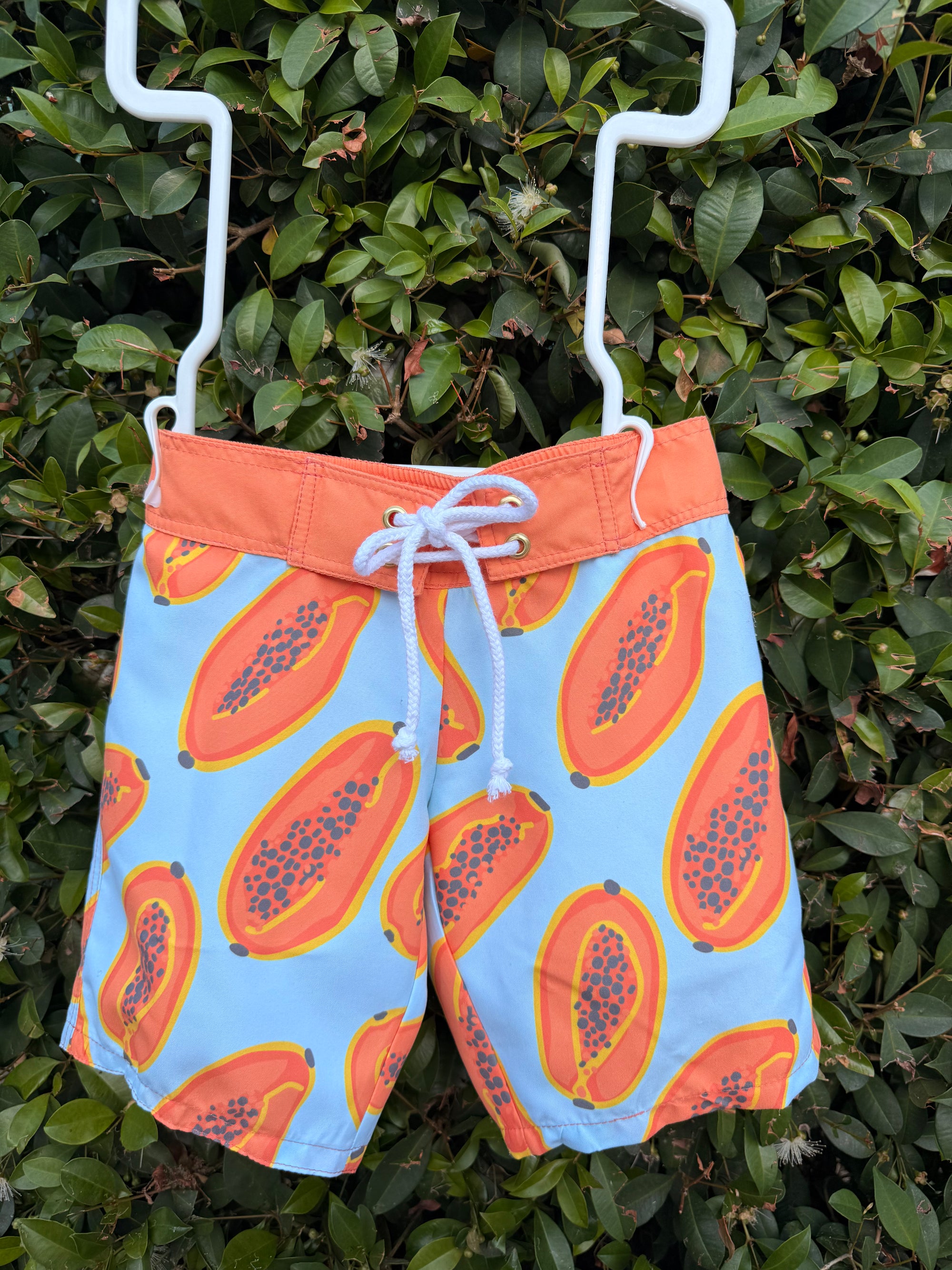 Boardshorts | Papaias