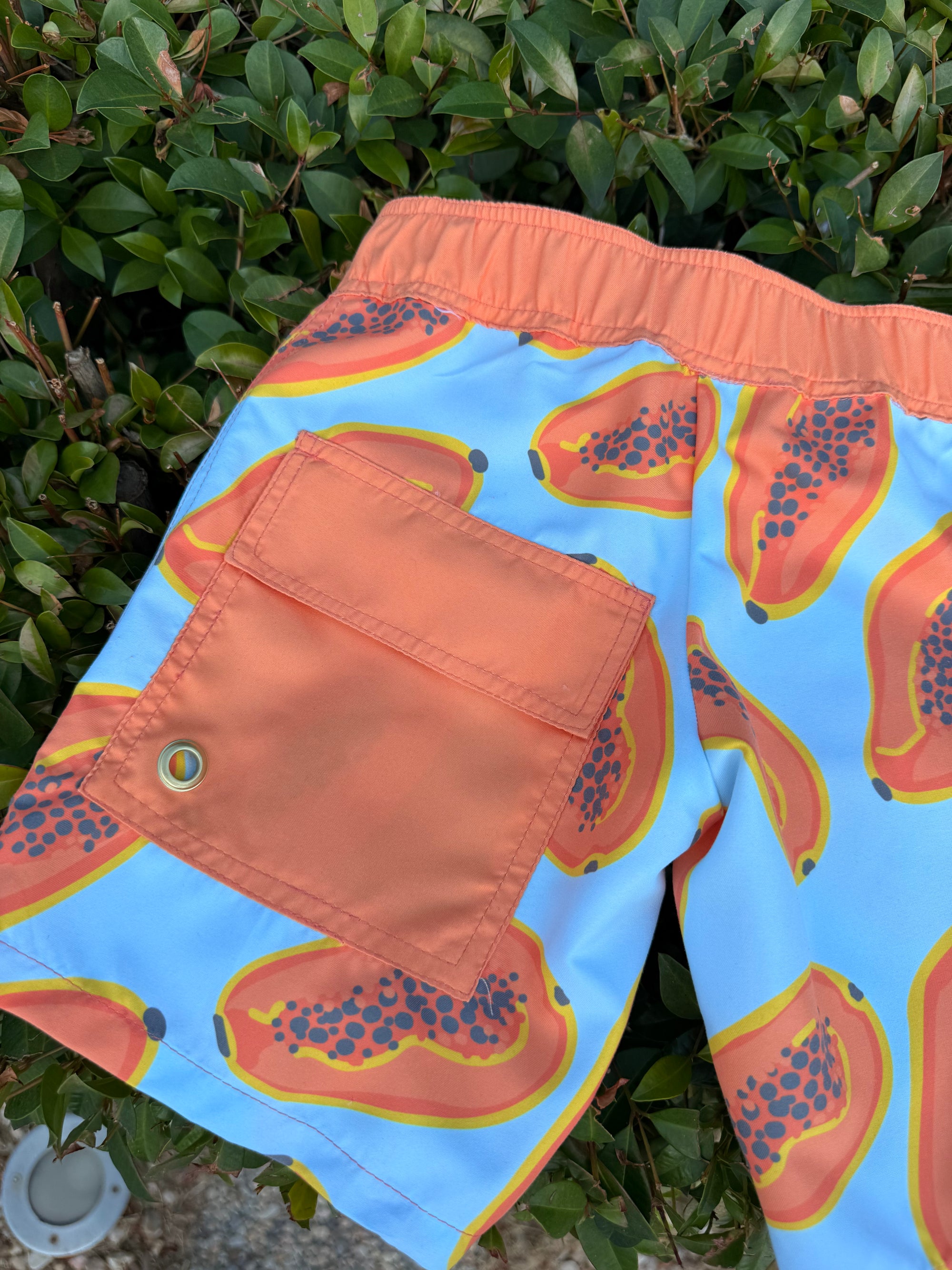Boardshorts | Papaias