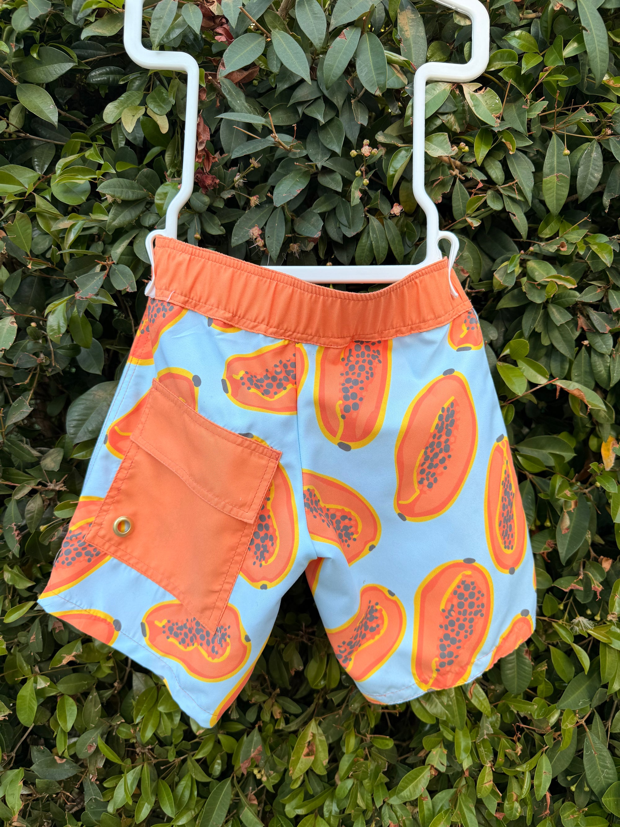 Boardshorts | Papaias